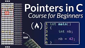 This article shows the concept of Pointer and how it works. /pointerp3/pointer.png